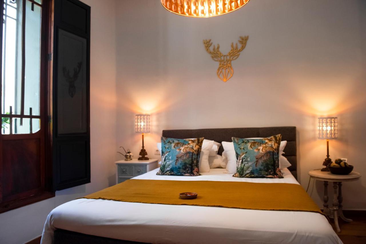 Jalón Casa Con Destino-Adults Only Bed & Breakfast エクステリア 写真
