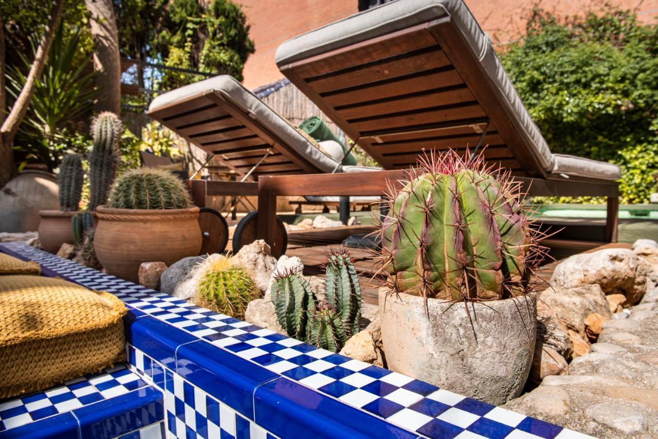 Jalón Casa Con Destino-Adults Only Bed & Breakfast エクステリア 写真